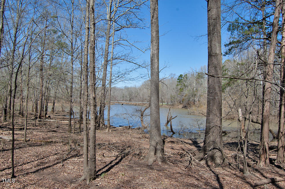 0 Tilley Road Bullock, NC 27507 - Photo 24 of 47 DSC_0587