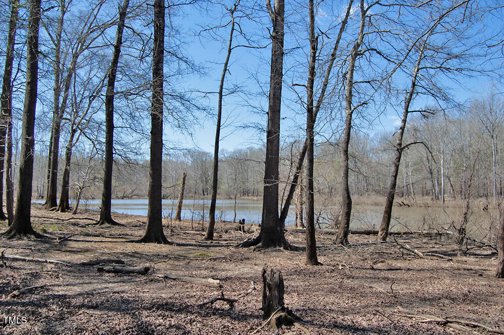 0 Tilley Road Bullock, NC 27507 - Photo 25 of 47 DSC_0589