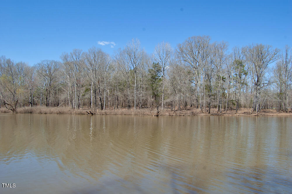 0 Tilley Road Bullock, NC 27507 - Photo 26 of 47 DSC_0594