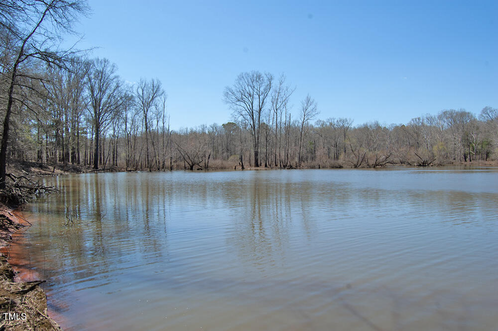 0 Tilley Road Bullock, NC 27507 - Photo 28 of 47 DSC_0596