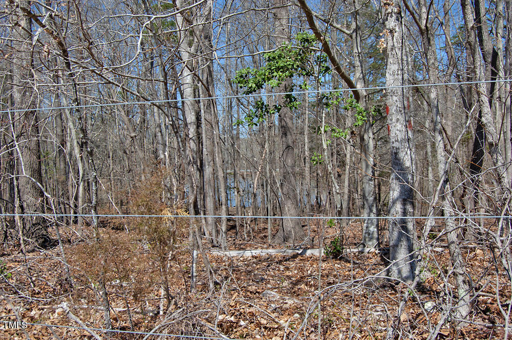 0 Tilley Road Bullock, NC 27507 - Photo 29 of 47 DSC_0583