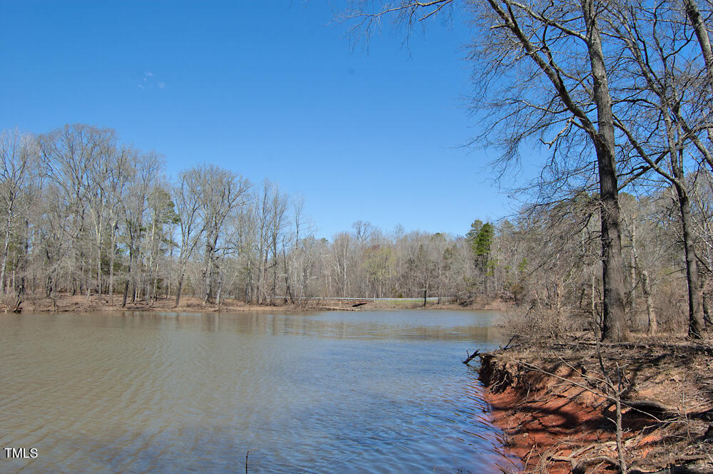 0 Tilley Road Bullock, NC 27507 - Photo 30 of 47 DSC_0597