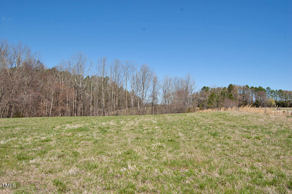 0 Tilley Road Bullock, NC 27507 - Photo 3 of 47 DSC_0565