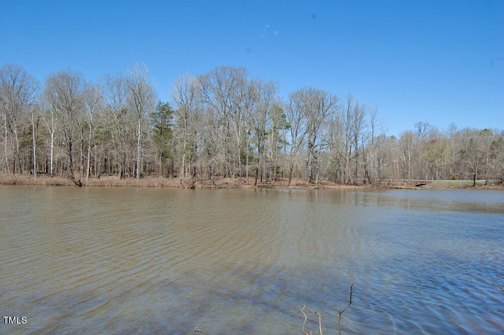 0 Tilley Road Bullock, NC 27507 - Photo 31 of 47 DSC_0598