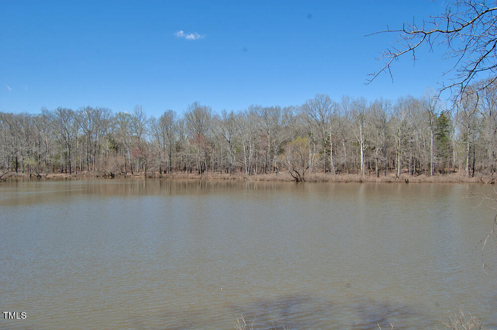 0 Tilley Road Bullock, NC 27507 - Photo 32 of 47 DSC_0599