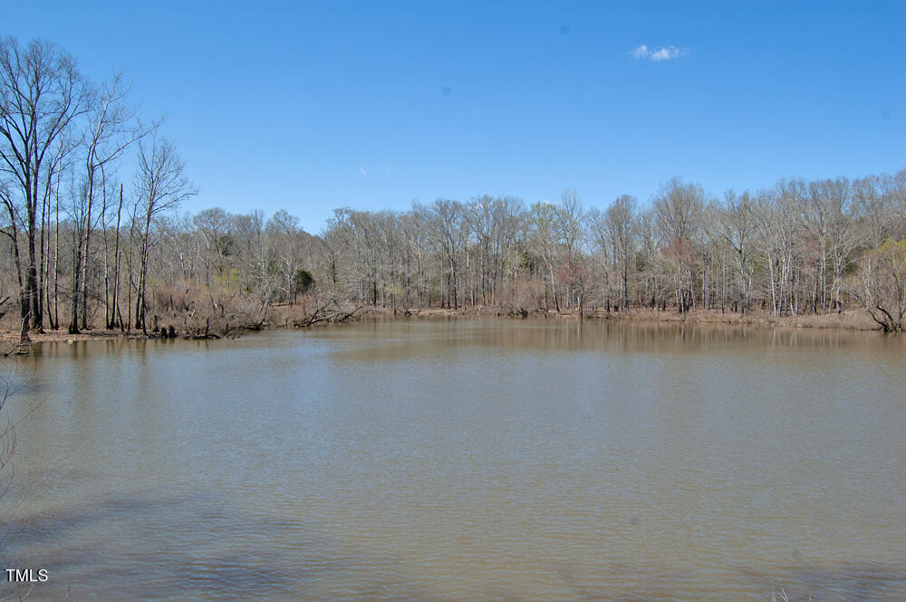 0 Tilley Road Bullock, NC 27507 - Photo 33 of 47 DSC_0600