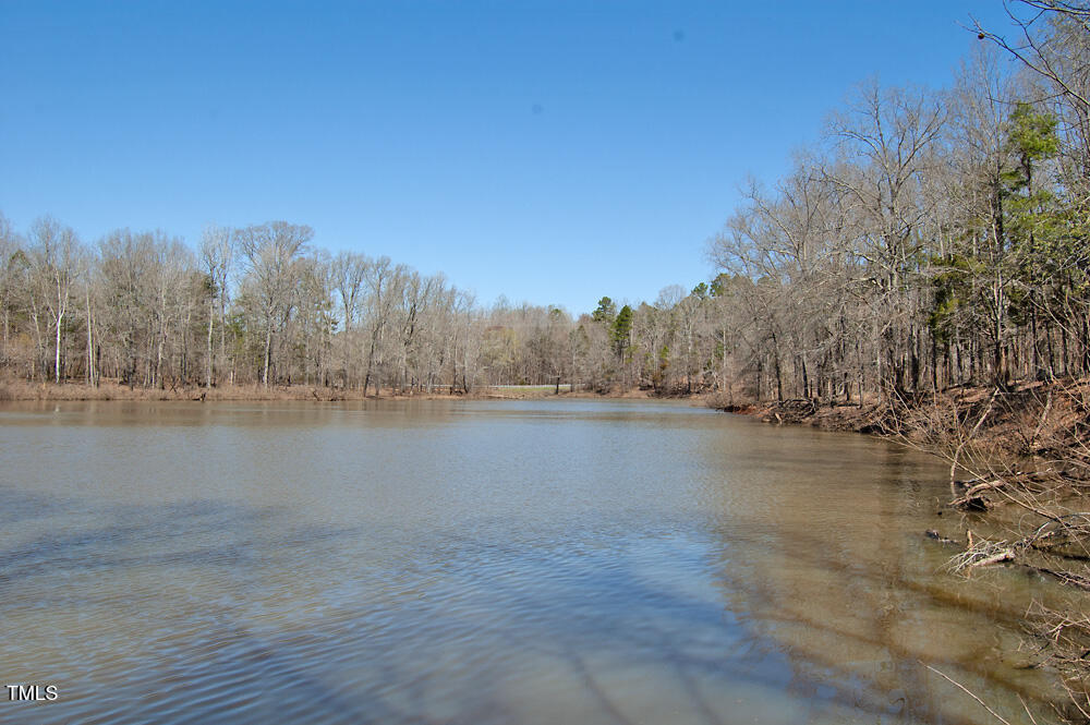 0 Tilley Road Bullock, NC 27507 - Photo 35 of 47 DSC_0602