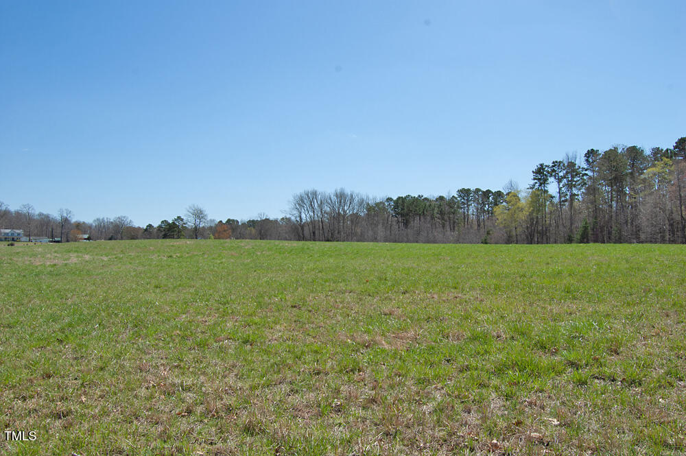 0 Tilley Road Bullock, NC 27507 - Photo 36 of 47 DSC_0621