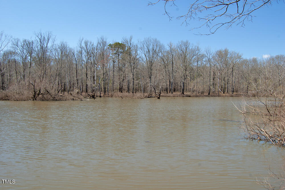 0 Tilley Road Bullock, NC 27507 - Photo 37 of 47 DSC_0606