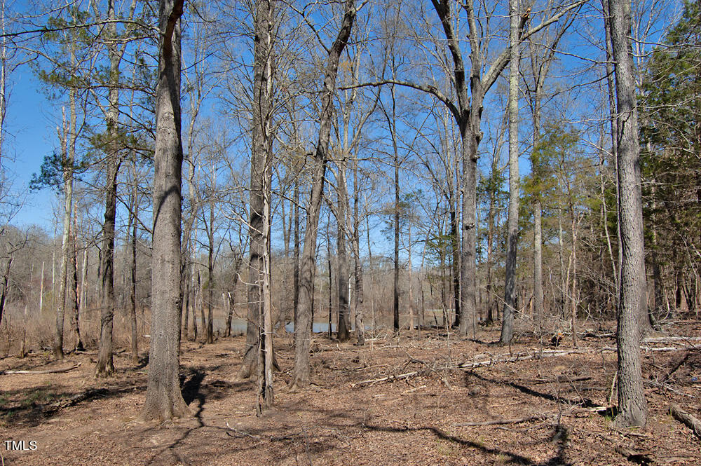 0 Tilley Road Bullock, NC 27507 - Photo 38 of 47 DSC_0607