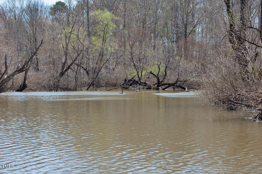 0 Tilley Road Bullock, NC 27507 - Photo 39 of 47 DSC_0609