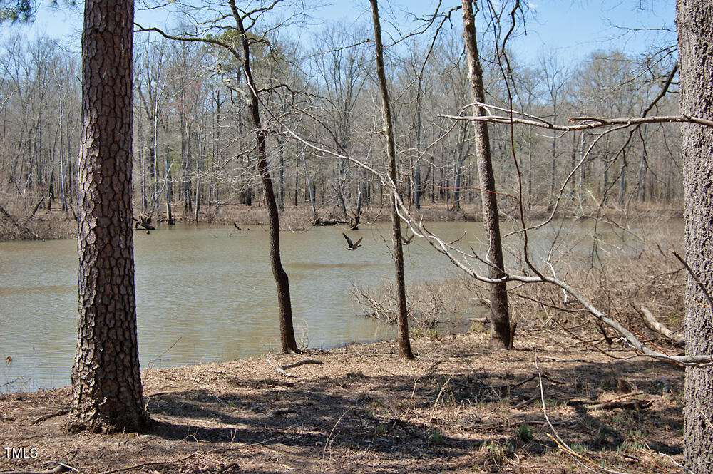 0 Tilley Road Bullock, NC 27507 - Photo 40 of 47 DSC_0614