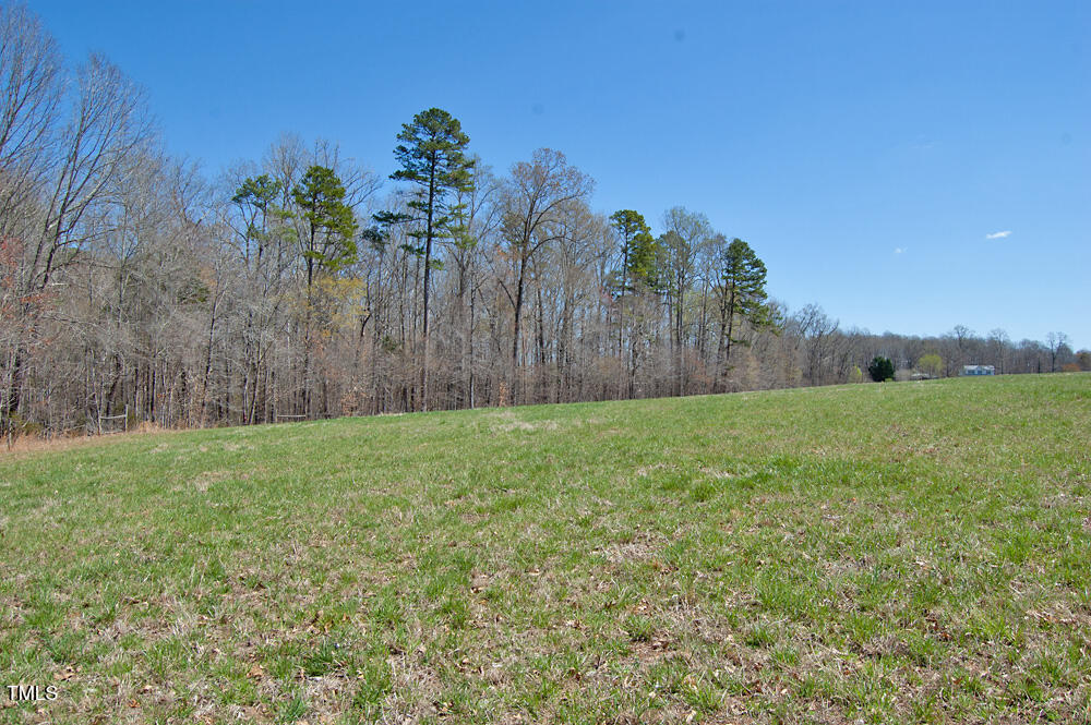 0 Tilley Road Bullock, NC 27507 - Photo 42 of 47 DSC_0618