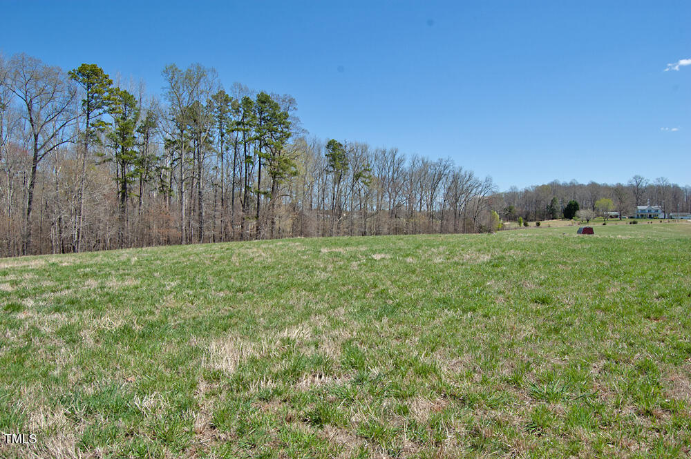 0 Tilley Road Bullock, NC 27507 - Photo 43 of 47 DSC_0624