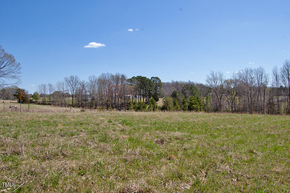0 Tilley Road Bullock, NC 27507 - Photo 44 of 47 DSC_0629