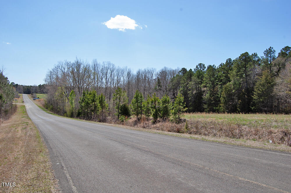 0 Tilley Road Bullock, NC 27507 - Photo 46 of 47 DSC_0632