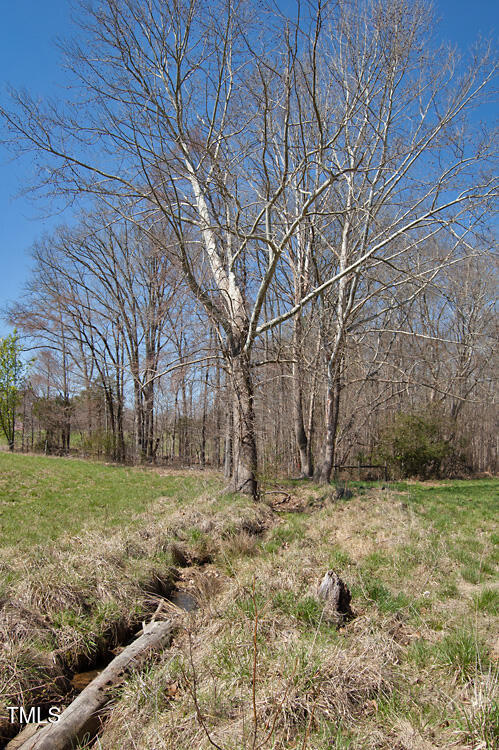 0 Tilley Road Bullock, NC 27507 - Photo 5 of 47 DSC_0566