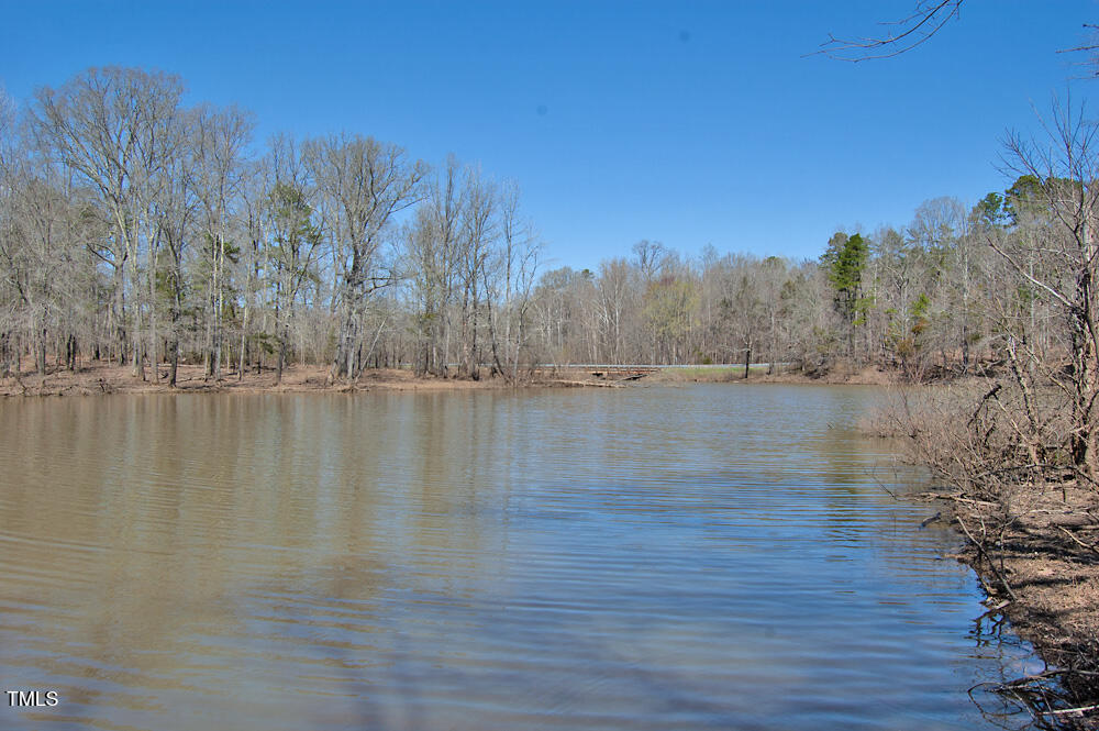 0 Tilley Road Bullock, NC 27507 - Photo 6 of 47 DSC_0593