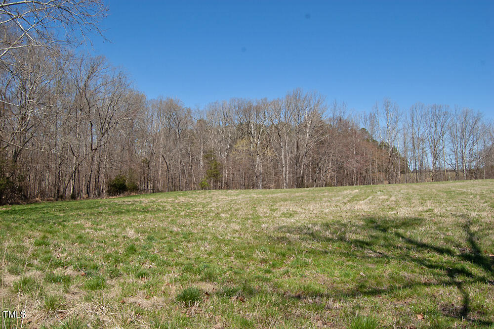 0 Tilley Road Bullock, NC 27507 - Photo 7 of 47 DSC_0567