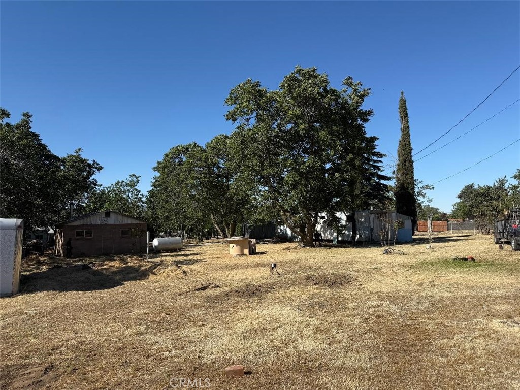 a view of road with large trees