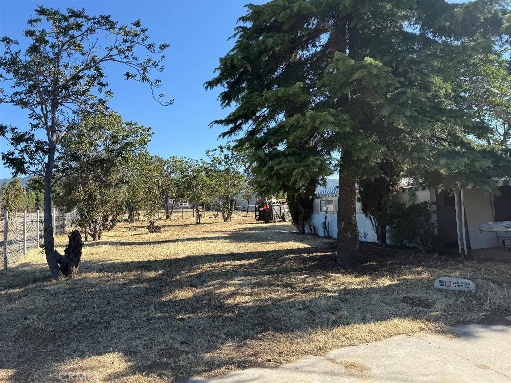 39400 Anza Road Anza, CA 92539 - Photo 2 of 7 a view of a yard with large trees
