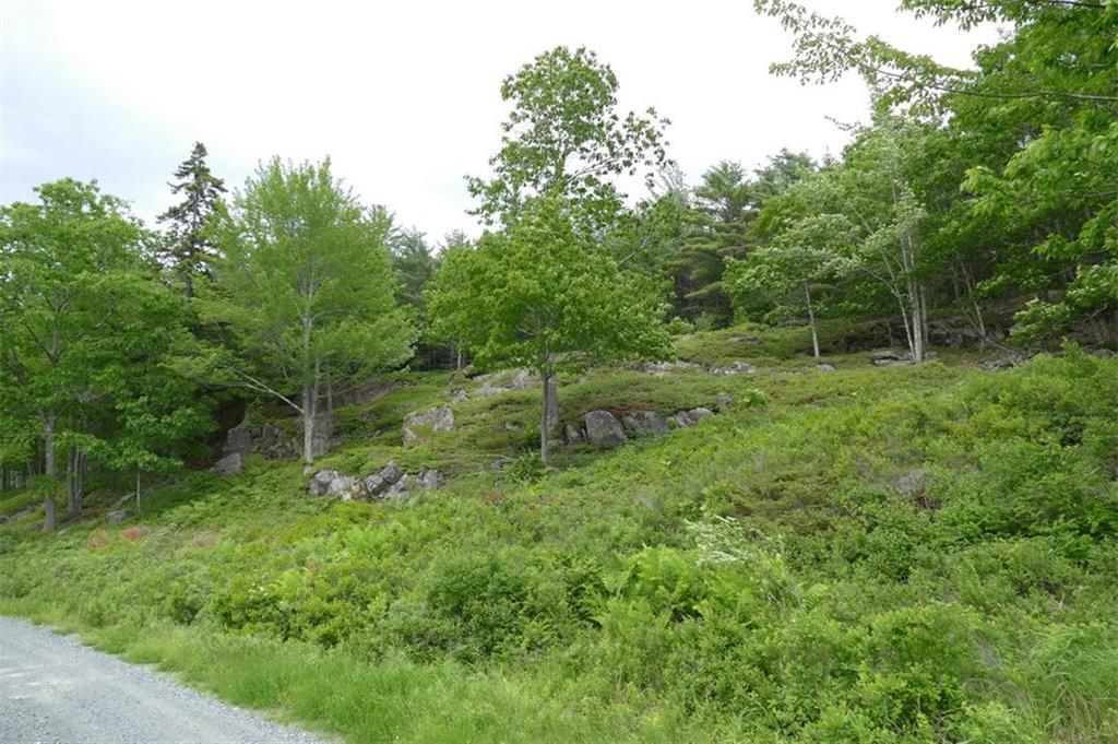0 Oak Grove Road Mount Desert, ME 04660 - Photo 6 of 10 Photo