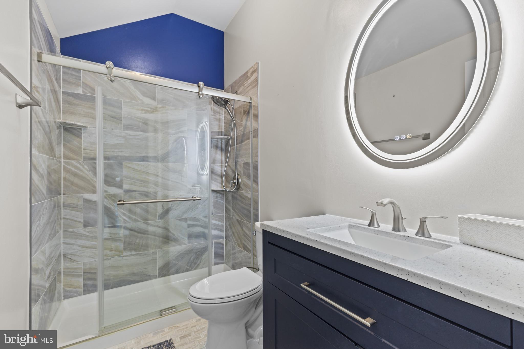 204 Ring Neck Court Chester, MD 21619 - Photo 17 of 29 a bathroom with a sink a toilet and a mirror