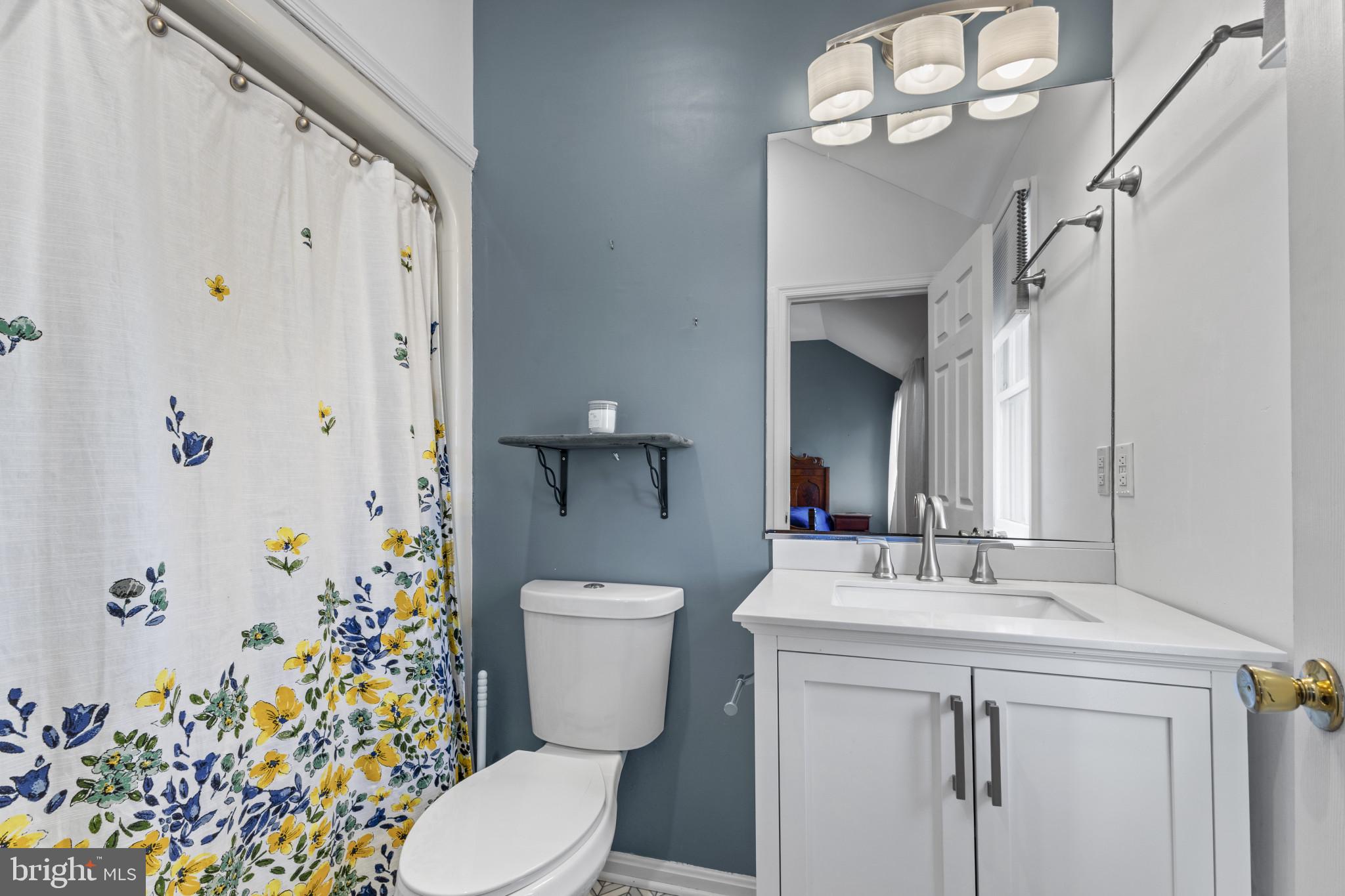 204 Ring Neck Court Chester, MD 21619 - Photo 20 of 29 a bathroom with a sink a toilet and shower curtain