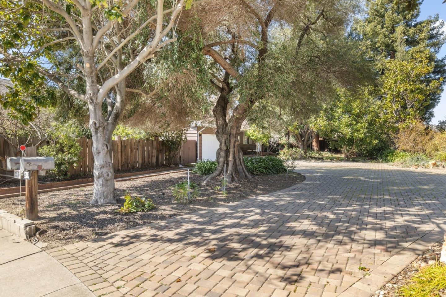 a view of a tree in the middle of a yard