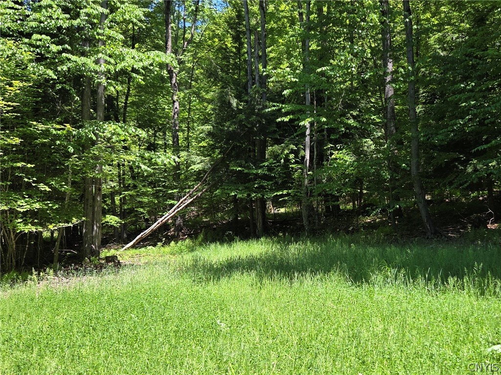 Lillibridge Road Olean, NY 14760 - Photo 48 of 48