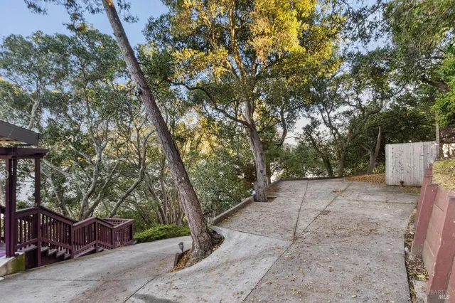 a view of backyard and tree