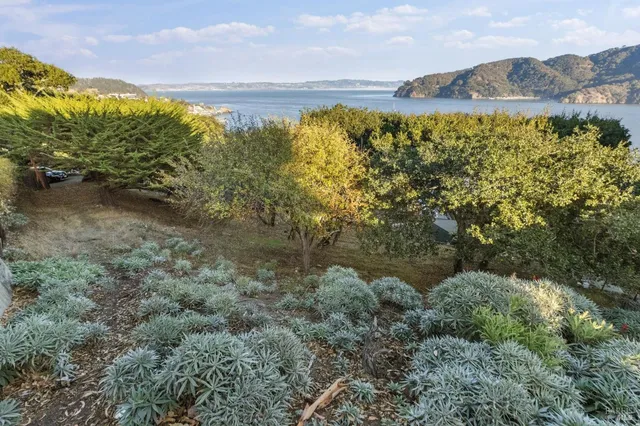 a view of a lake in middle of the forest