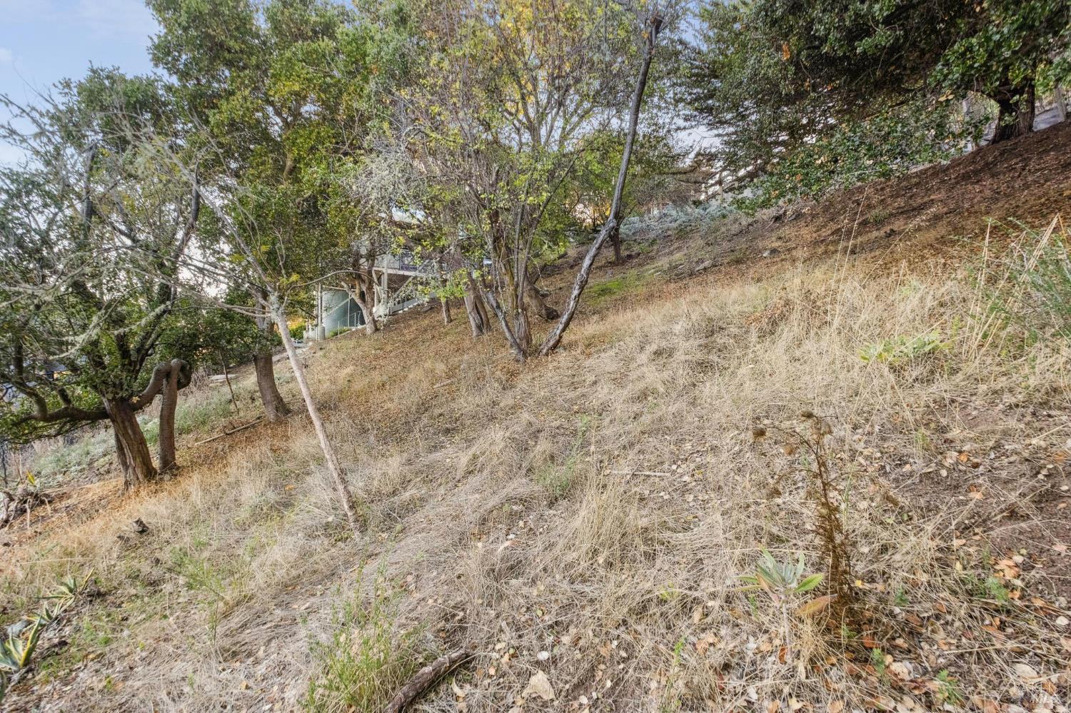 0 Tower Point Lane Tiburon, CA 94920 - Photo 22 of 28