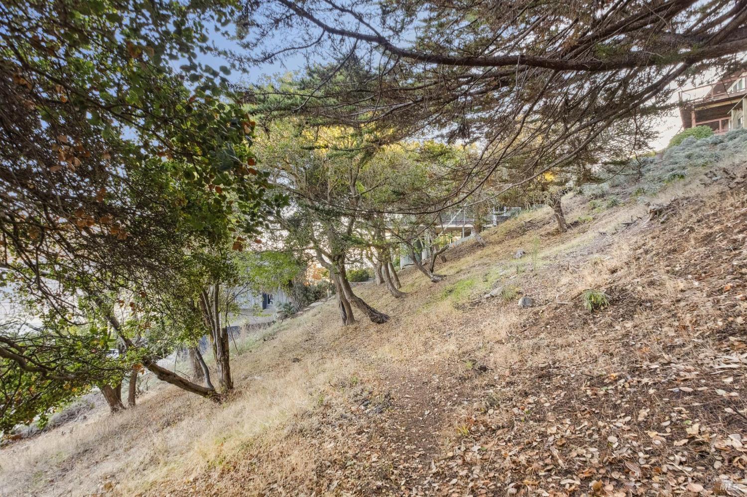 0 Tower Point Lane Tiburon, CA 94920 - Photo 23 of 28