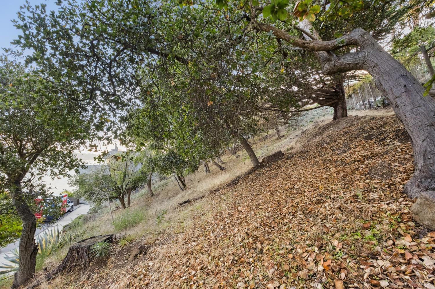 0 Tower Point Lane Tiburon, CA 94920 - Photo 24 of 28