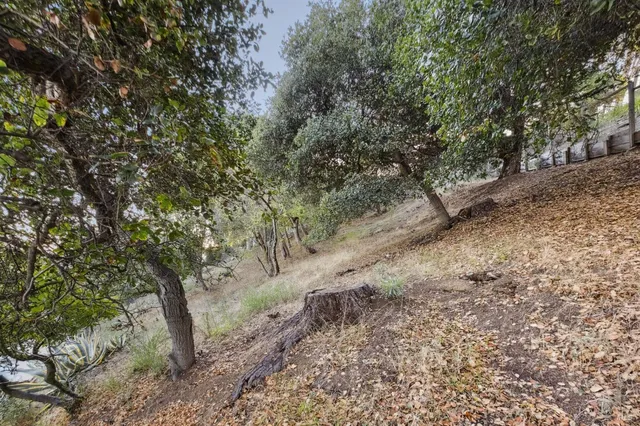 a view of a lake with sunset