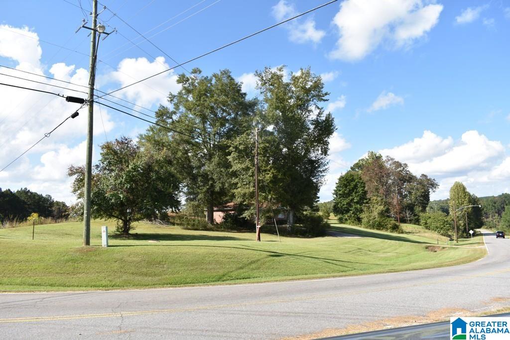 141 Highway 431 Wedowee, AL 36278 - Photo 2 of 11