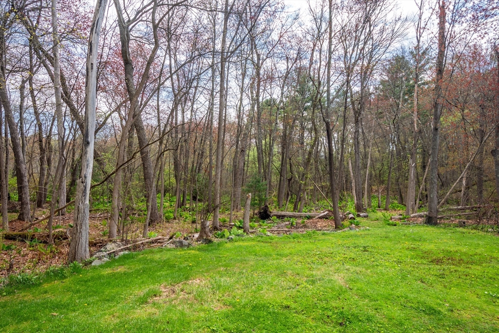 15 Williams Road North Reading, MA 01864 - Photo 38 of 38 a view of park with large trees