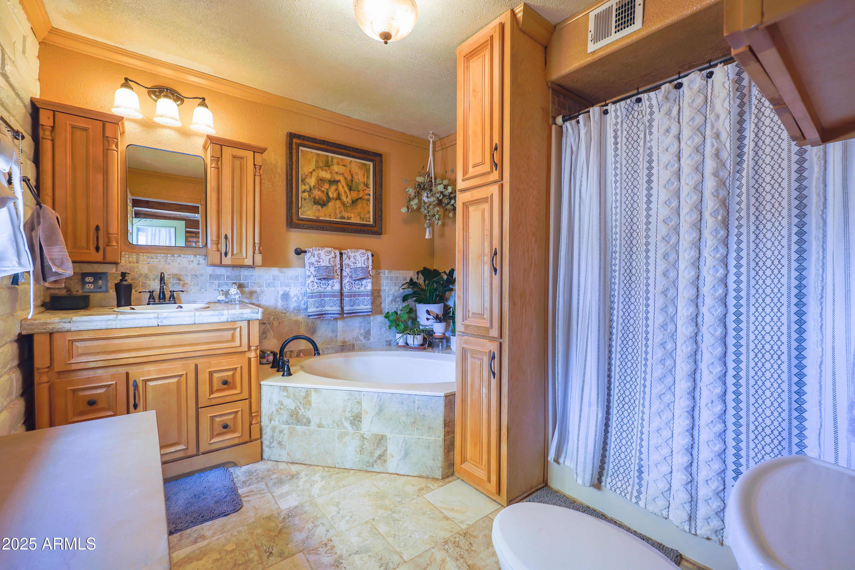 4755 West Morin Road McNeal, AZ 85617 - Photo 9 of 37 a bathroom with a granite countertop sink toilet and shower