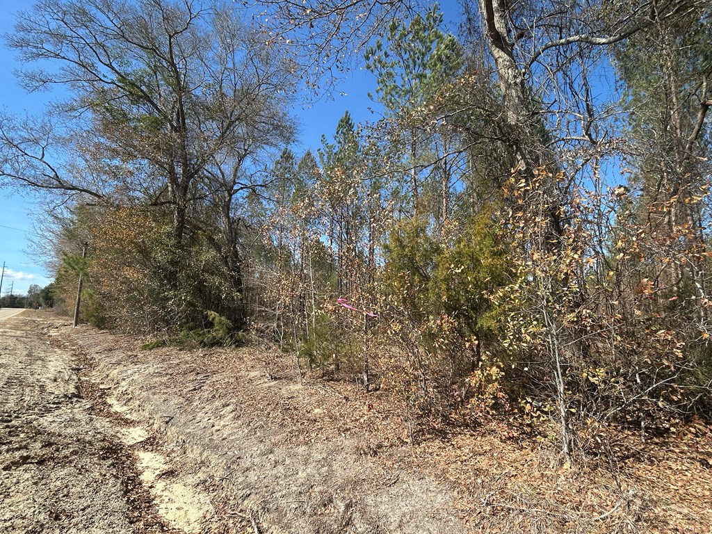 Lot 3-15 -ac Cottonwood Rd/ Phillips Road Cottonwood, AL 36320 - Photo 22 of 49