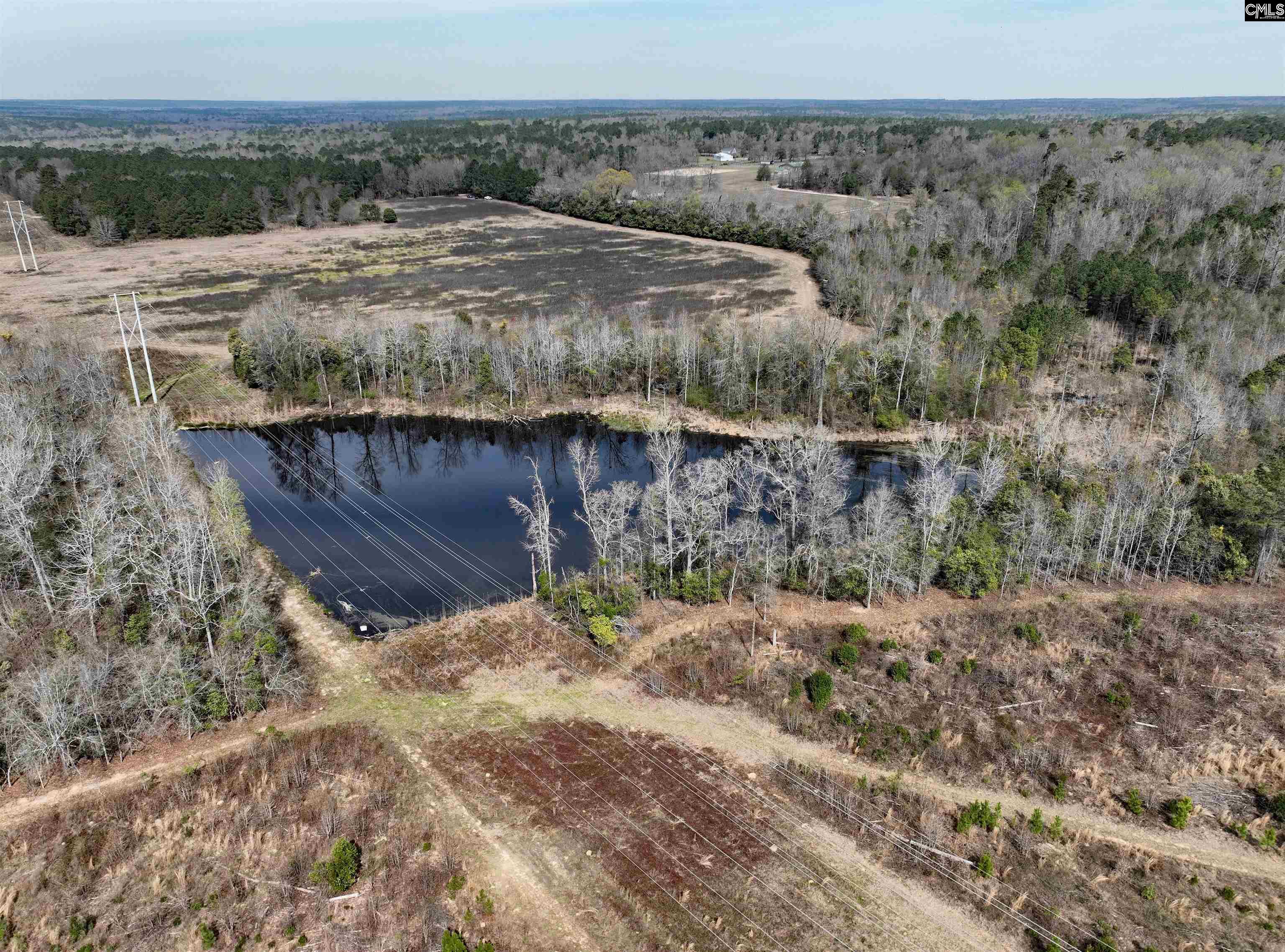 0 Dr Boylston Road Salley, SC 29137 - Photo 5 of 41