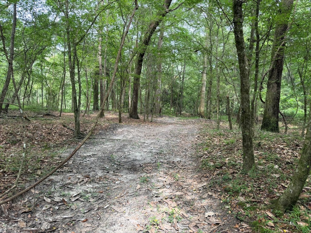 4574 Hadley Ferry Road Cairo, GA 39828 - Photo 17 of 51 More Trails