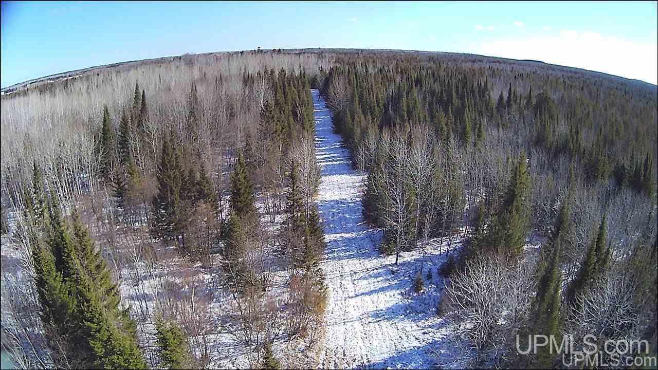 8972 Co Road Rapid River, MI 49878 - Photo 10 of 46