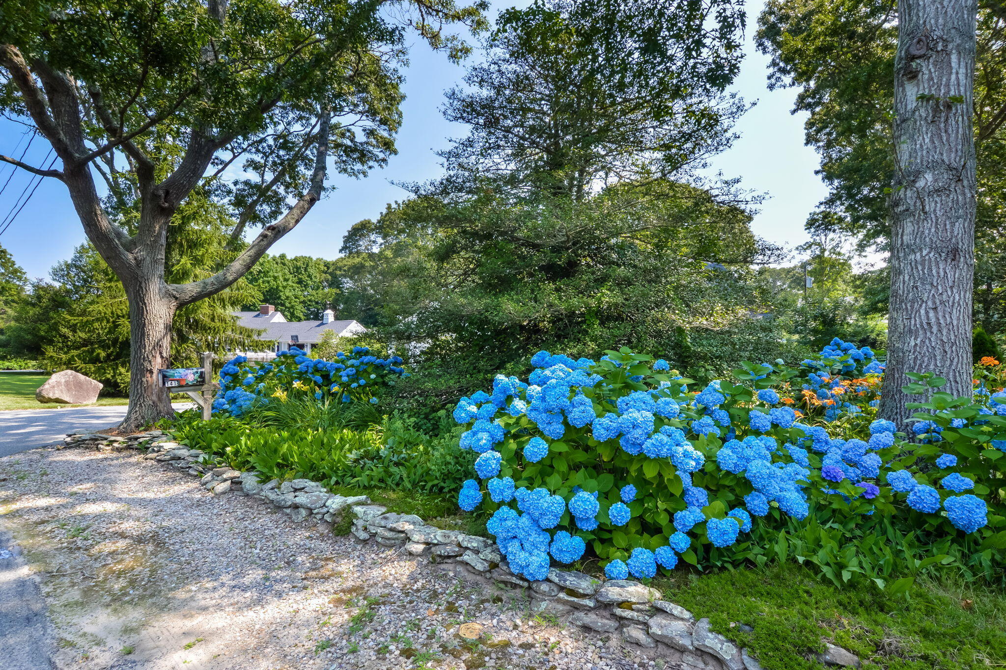 141 Pond View Drive Centerville, MA 02632 - Photo 35 of 44 a bunch of flowers in a garden
