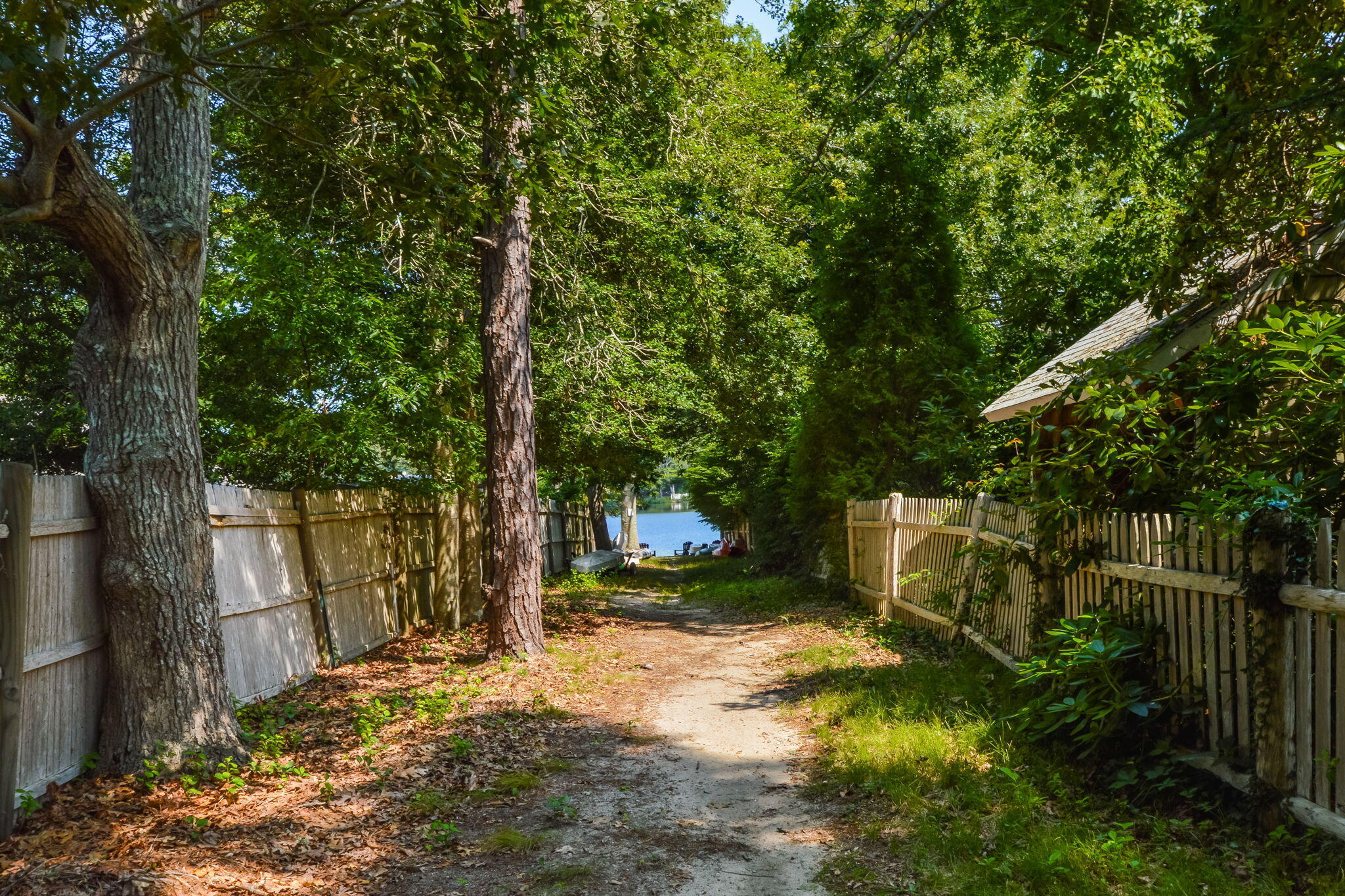 141 Pond View Drive Centerville, MA 02632 - Photo 38 of 44 a view of a yard with plants and large trees