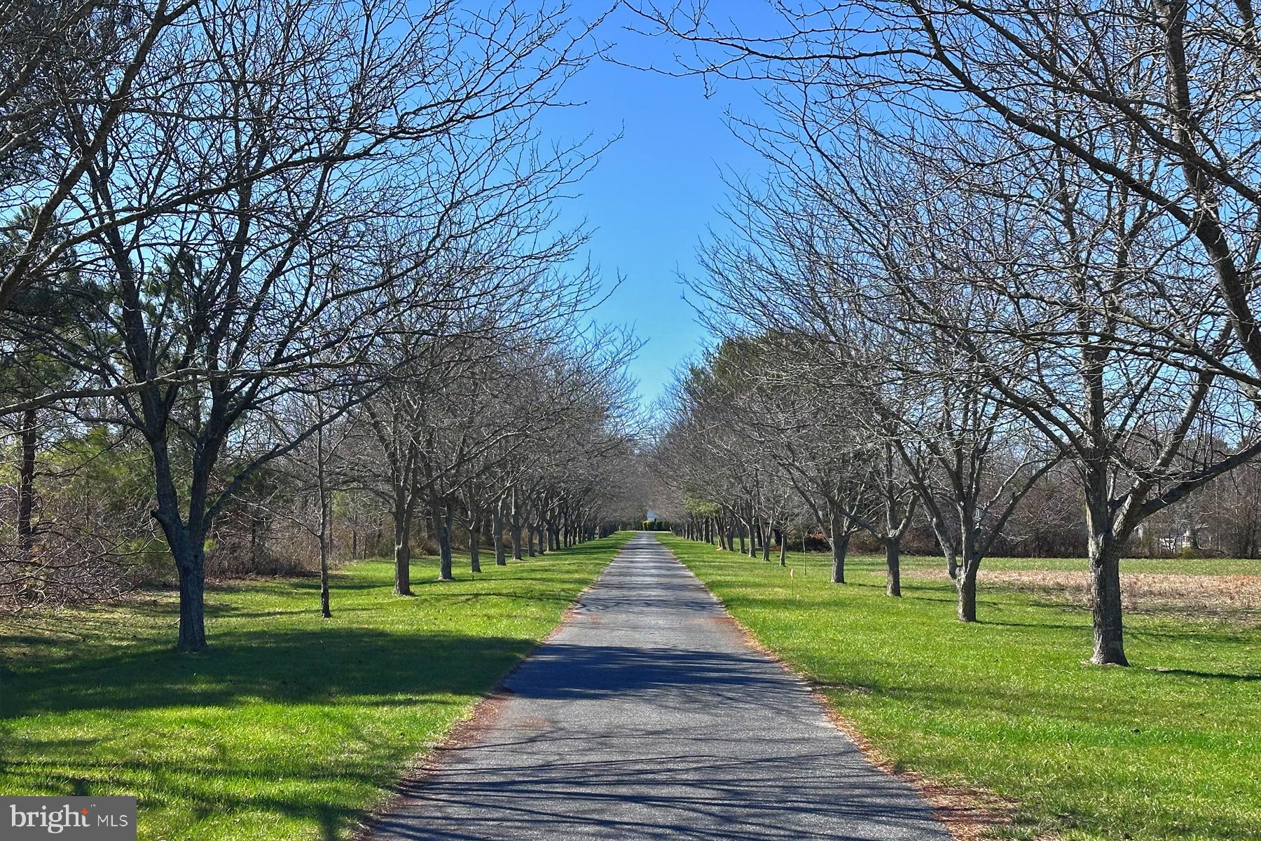 18605 Road 255 Georgetown, DE 19947 - Photo 4 of 93