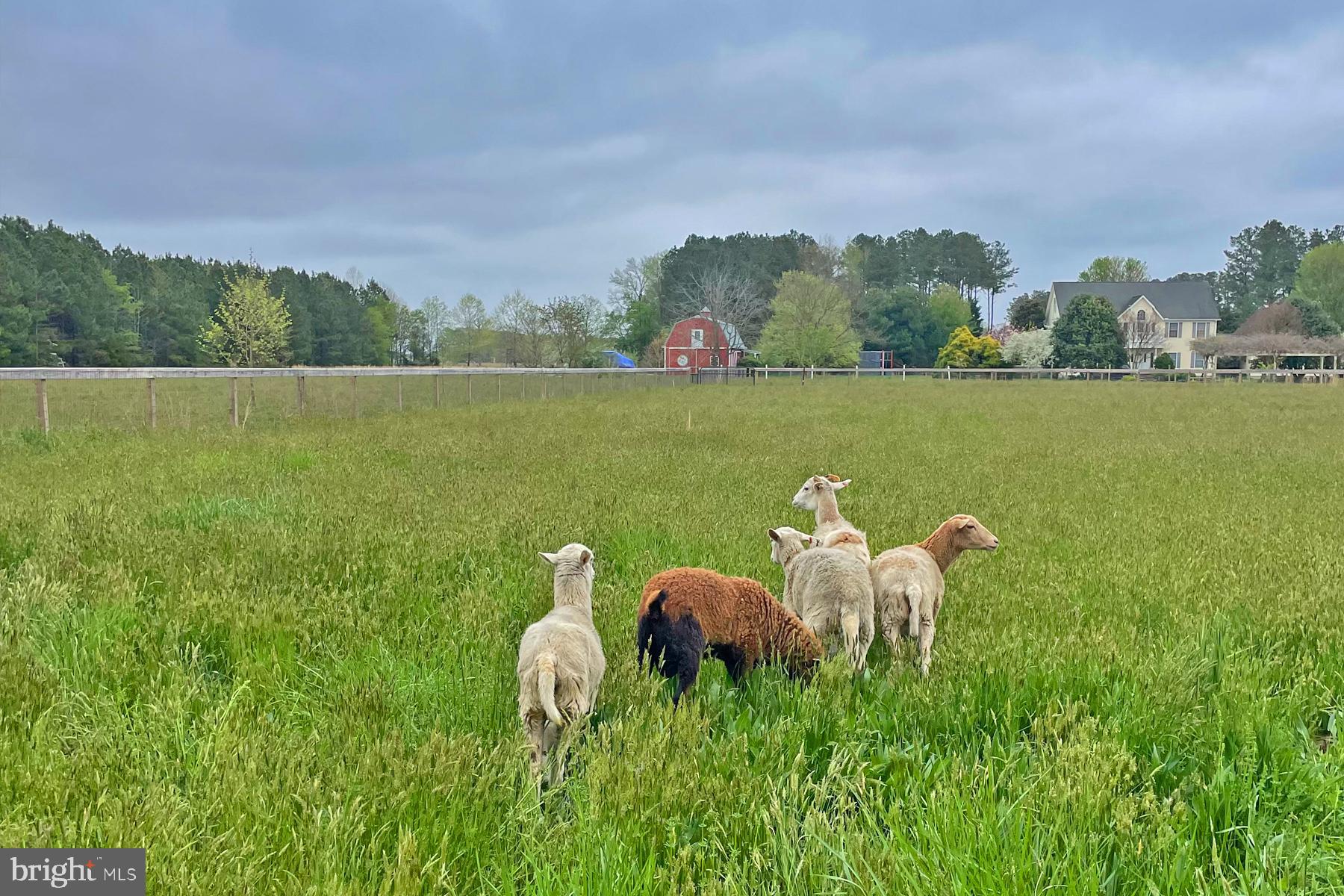 18605 Road 255 Georgetown, DE 19947 - Photo 5 of 93