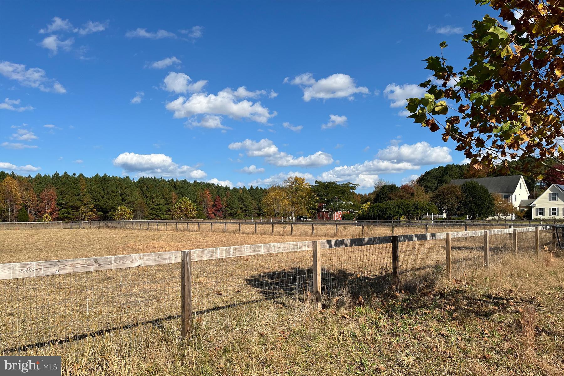 18605 Road 255 Georgetown, DE 19947 - Photo 6 of 93