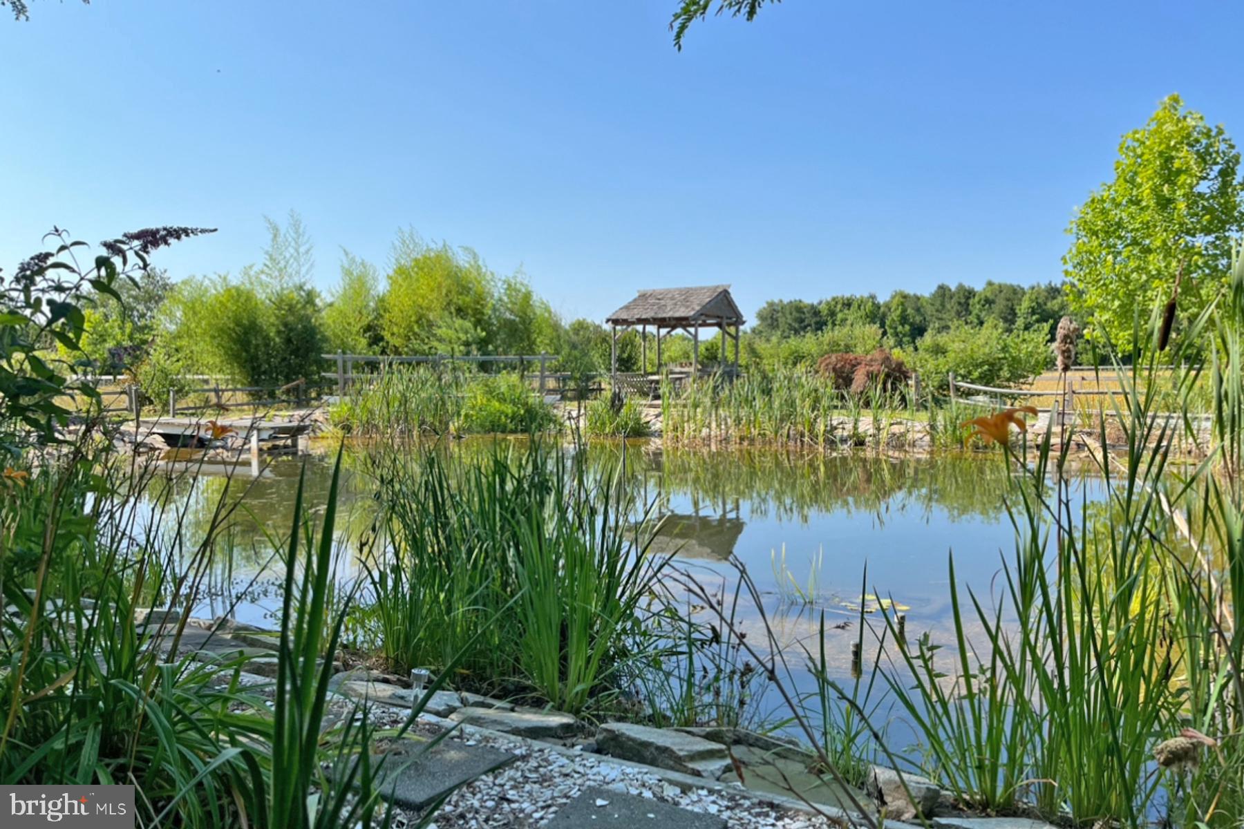 18605 Road 255 Georgetown, DE 19947 - Photo 83 of 93