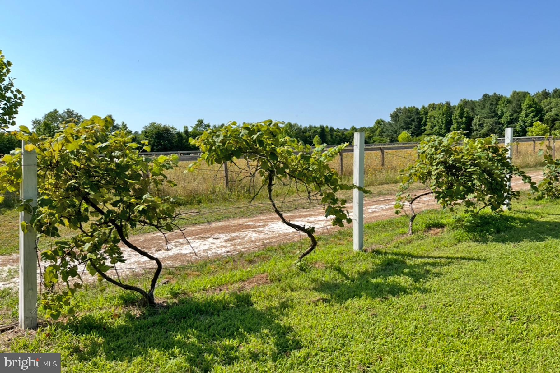 18605 Road 255 Georgetown, DE 19947 - Photo 84 of 93